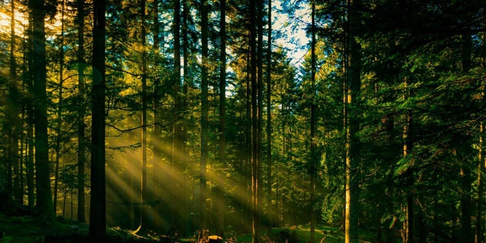 вінниця-відновлення