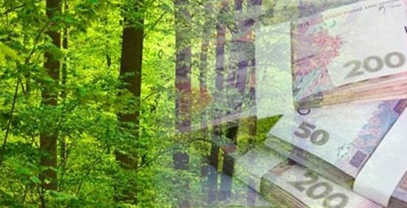 eksdirektora-volinskogo-lisogospodarstva-53cb4fd0ef3381_bKH1WKf