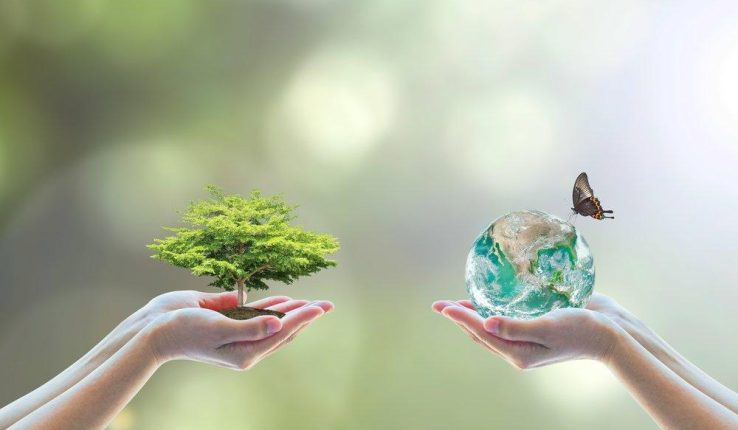 412e5a340c89fab2b4f7c779b6357422-738x430