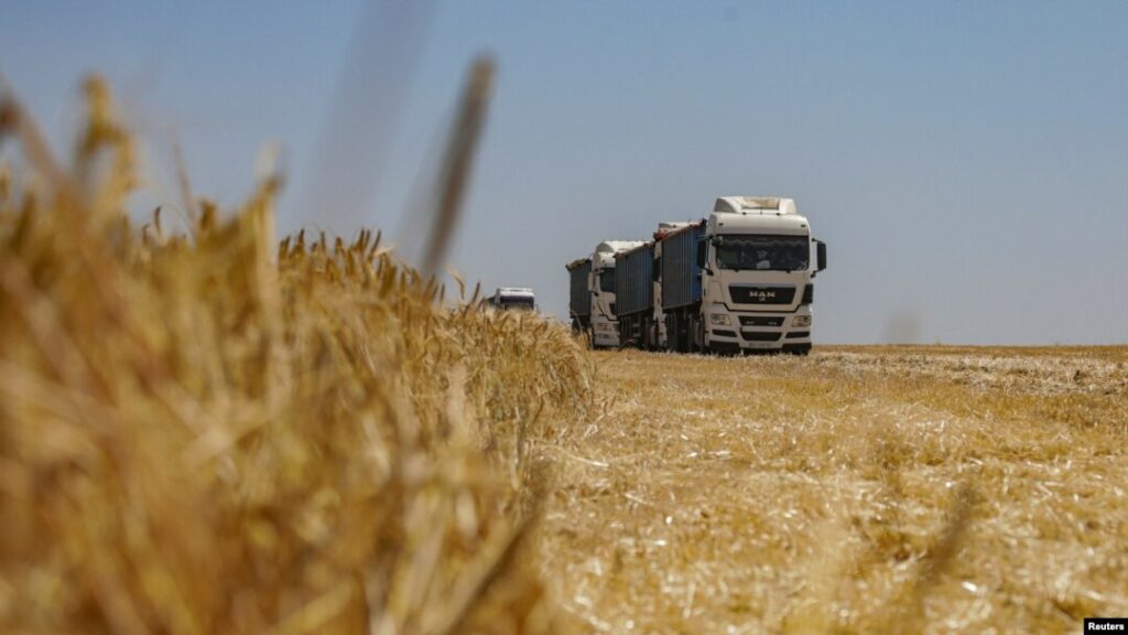 b8bb3780-a427-4a44-a6a6-4050f17e4c89_w1080_h608_s