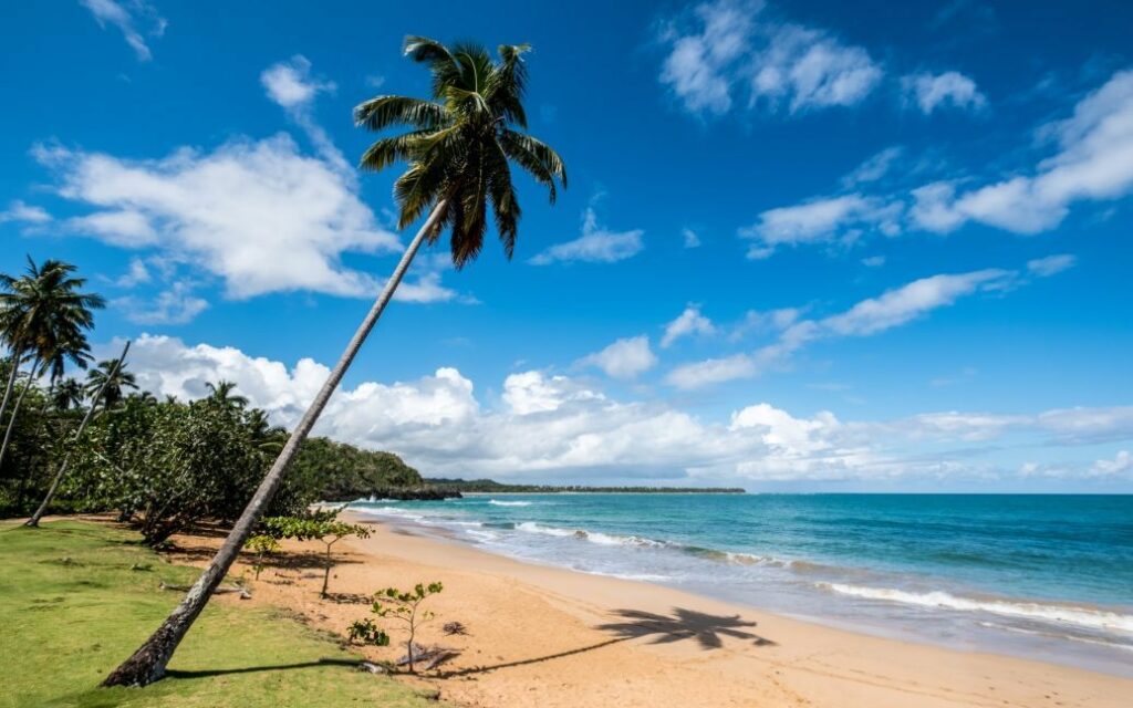 91576d722bb5ab76df76c892dee4e191