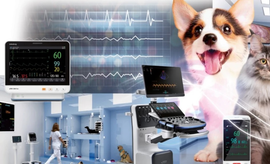 аналіз крові собаки