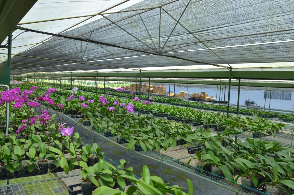 Затіняючі сітки