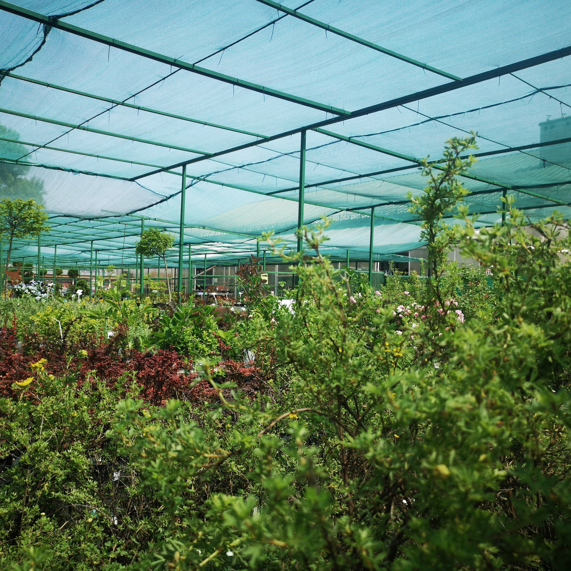 Затіняючі сітки