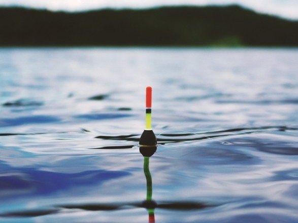 Прокуратура оскаржує оренду 30 гідроспоруд і рибацького будинку на Городенківщині вартістю понад 2,2 млрд грн