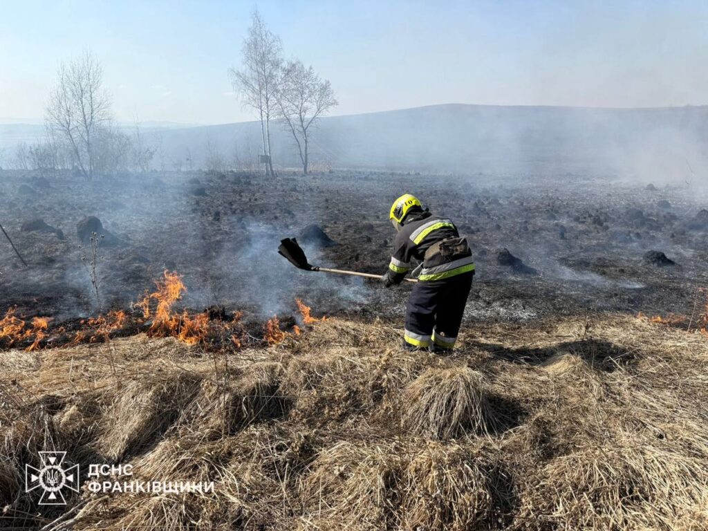 Підпал сухостою в Драгомирчанах 14 березня: через вогонь згасли два будинки, — Марцінків