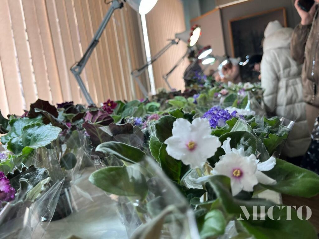 Франківська ратуша зібрала 9 080 гривень на дрони для військових