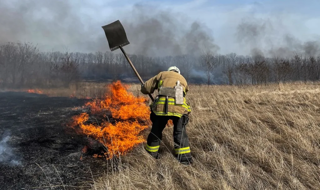 На Прикарпатті через спалювання сухостою ліквідовано 16 пожеж на площі 3 711 м²