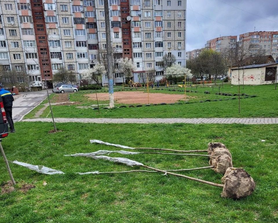 В Івано-Франківську розпочали акцію з озеленення дворів і передали перші 40 саджанців
