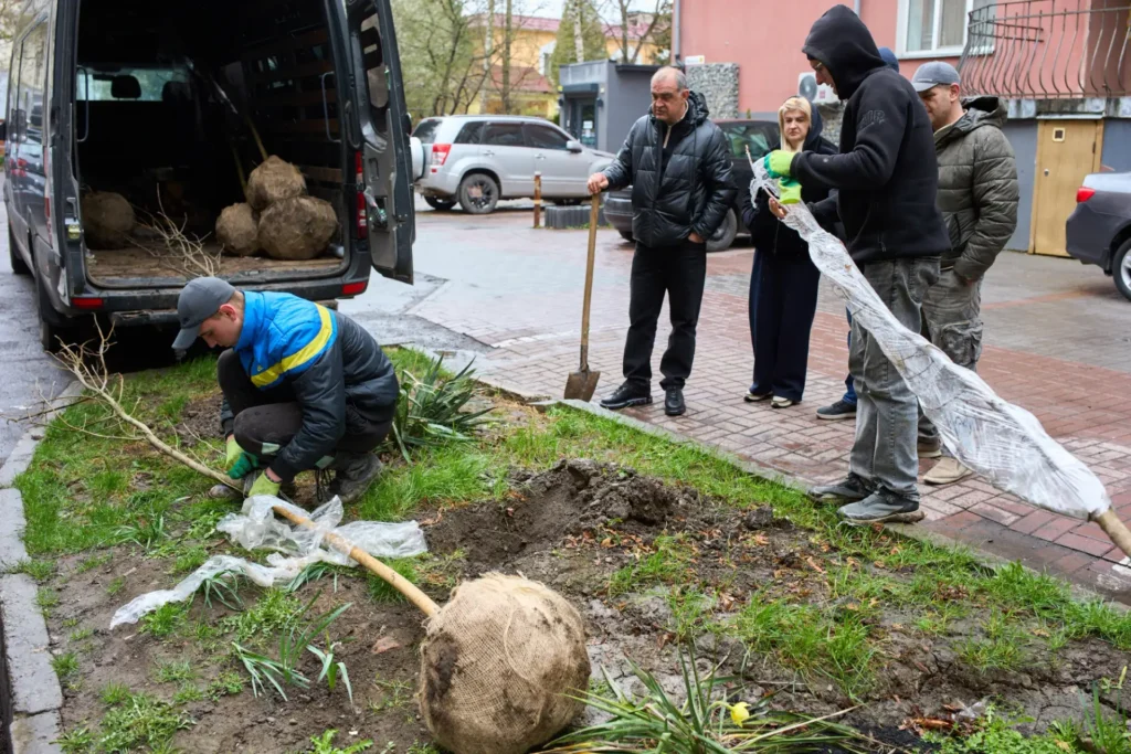 В Івано-Франківську в межах весняної акції планують висадити близько 160 дерев
