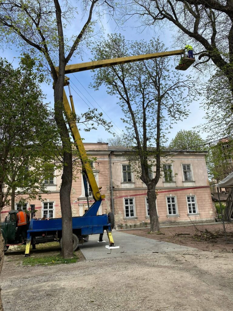 В Івано-Франківську на Шпитальній санітарно обріжуть 17 дерев
