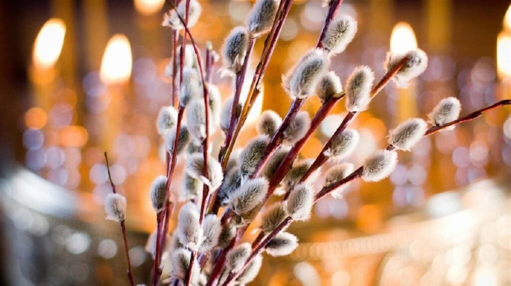 Вербна неділя у Франківську: розклад богослужінь і освячення верби 5 квітня