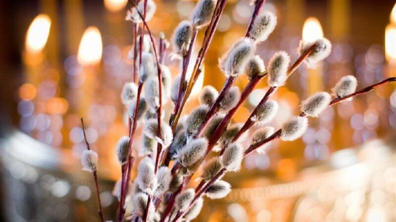 Вербна неділя у Франківську: розклад богослужінь та час освячення верби на 5 квітня