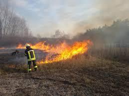 На Івано-Франківщині за добу ліквідували 23 пожежі в екосистемах на площі майже 5 гектарів