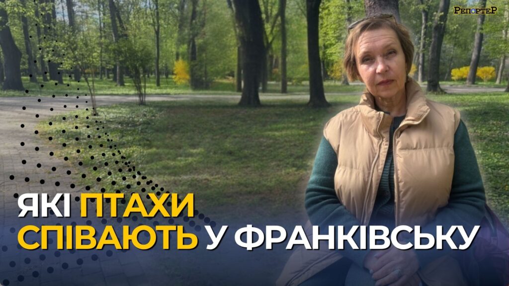 У Франківську щороку меншає птахів: орнітологиня назвала види та головні причини