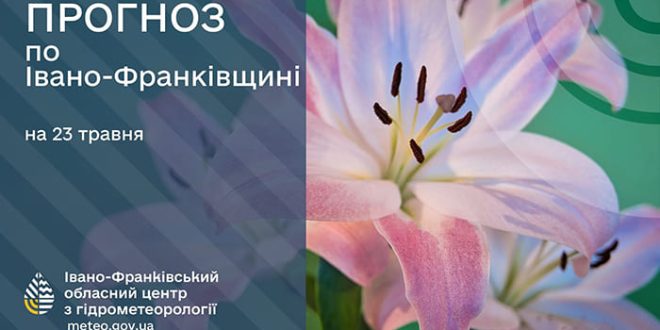 Прогноз погоди в Івано-Франківську на 23 травня: до 24° тепла і без істотних опадів